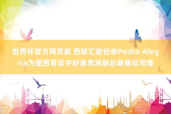 世界杯官方网页版 西联汇款任命Pedro Alegría为墨西哥及中好意思洲副总裁兼总司理