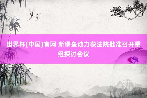 世界杯(中国)官网 新堡垒动力获法院批准召开重组探讨会议
