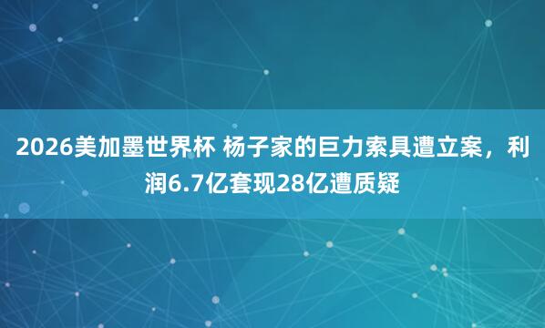 2026美加墨世界杯 杨子家的巨力索具遭立案，利润6.7亿套现28亿遭质疑