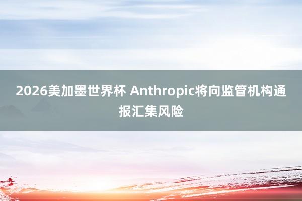2026美加墨世界杯 Anthropic将向监管机构通报汇集风险