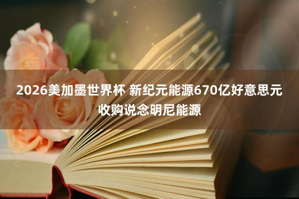 2026美加墨世界杯 新纪元能源670亿好意思元收购说念明尼能源