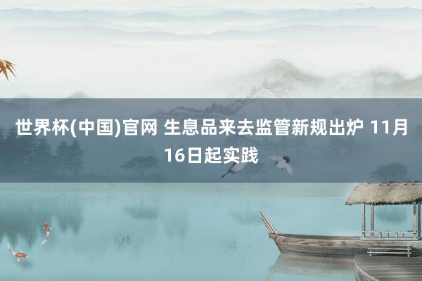 世界杯(中国)官网 生息品来去监管新规出炉 11月16日起实践