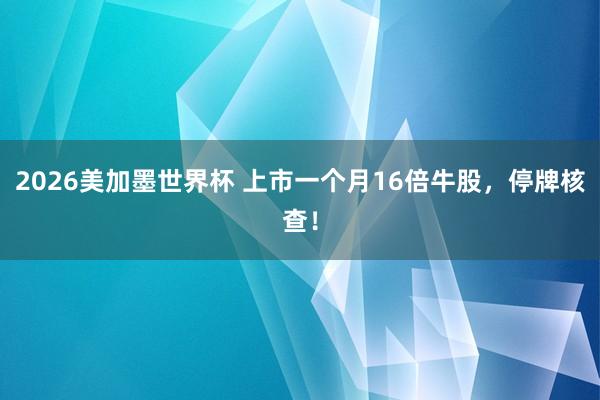2026美加墨世界杯 上市一个月16倍牛股，停牌核查！