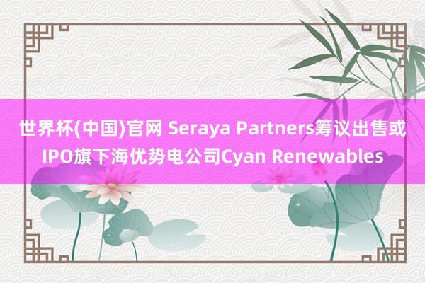 世界杯(中国)官网 Seraya Partners筹议出售或IPO旗下海优势电公司Cyan Renewables
