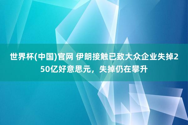 世界杯(中国)官网 伊朗接触已致大众企业失掉250亿好意思元，失掉仍在攀升