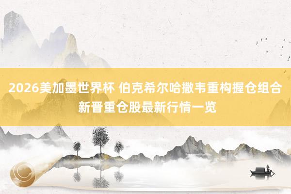 2026美加墨世界杯 伯克希尔哈撒韦重构握仓组合 新晋重仓股最新行情一览