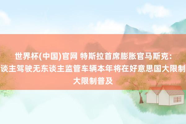世界杯(中国)官网 特斯拉首席膨胀官马斯克：无东谈主驾驶无东谈主监管车辆本年将在好意思国大限制普及
