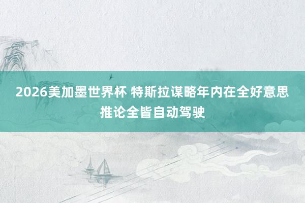2026美加墨世界杯 特斯拉谋略年内在全好意思推论全皆自动驾驶