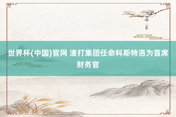 世界杯(中国)官网 渣打集团任命科斯特洛为首席财务官