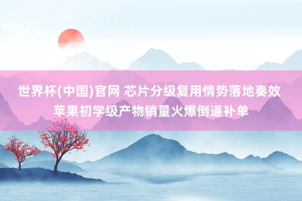 世界杯(中国)官网 芯片分级复用情势落地奏效 苹果初学级产物销量火爆倒逼补单