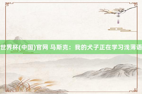 世界杯(中国)官网 马斯克：我的犬子正在学习浅薄语