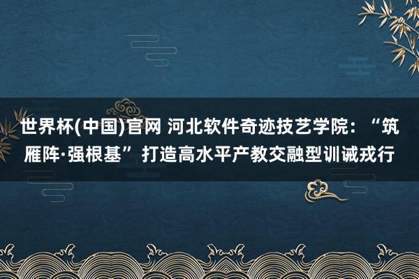 世界杯(中国)官网 河北软件奇迹技艺学院：“筑雁阵·强根基” 打造高水平产教交融型训诫戎行