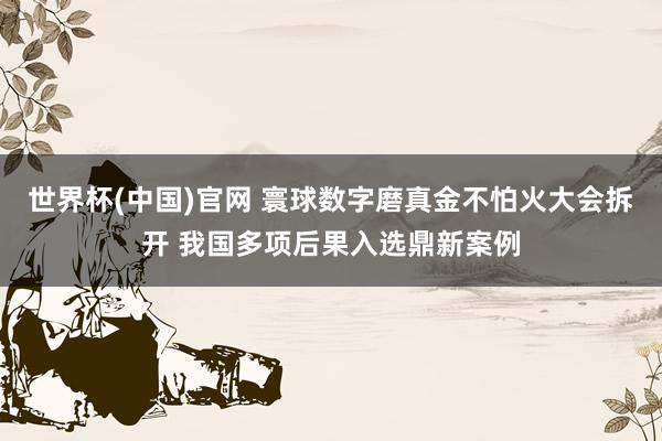 世界杯(中国)官网 寰球数字磨真金不怕火大会拆开 我国多项后果入选鼎新案例