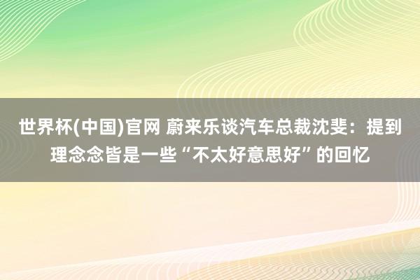 世界杯(中国)官网 蔚来乐谈汽车总裁沈斐：提到理念念皆是一些“不太好意思好”的回忆