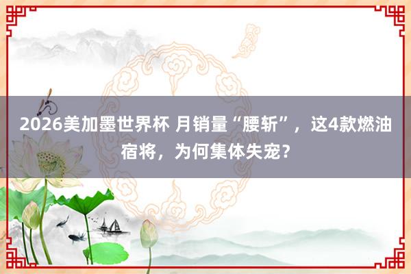 2026美加墨世界杯 月销量“腰斩”，这4款燃油宿将，为何集体失宠？