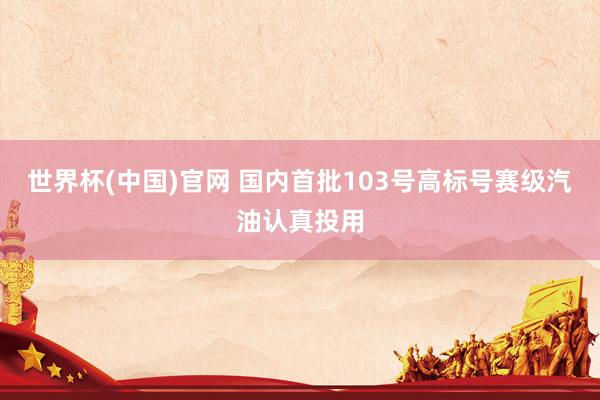 世界杯(中国)官网 国内首批103号高标号赛级汽油认真投用