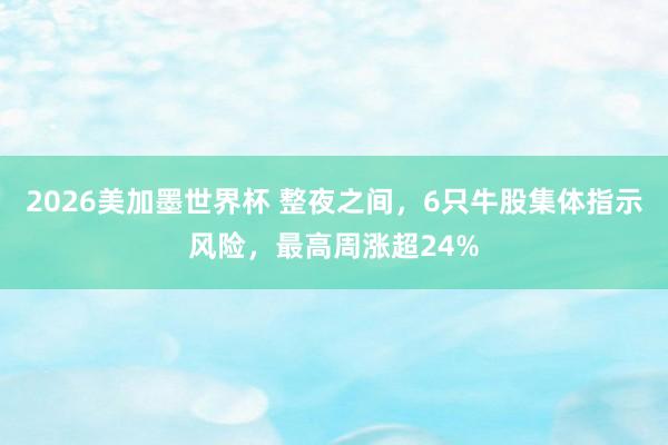 2026美加墨世界杯 整夜之间，6只牛股集体指示风险，最高周涨超24%