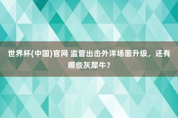 世界杯(中国)官网 监管出击外洋场面升级，还有哪些灰犀牛？
