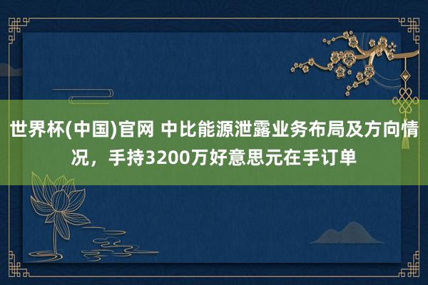 世界杯(中国)官网 中比能源泄露业务布局及方向情况，手持3200万好意思元在手订单