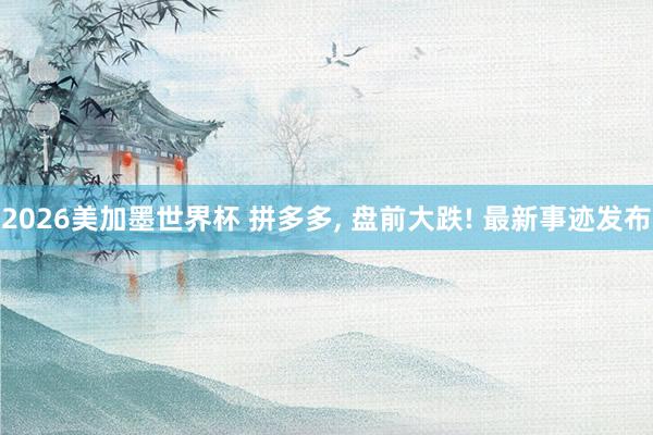 2026美加墨世界杯 拼多多， 盘前大跌! 最新事迹发布