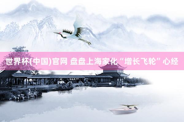 世界杯(中国)官网 盘盘上海家化“增长飞轮”心经