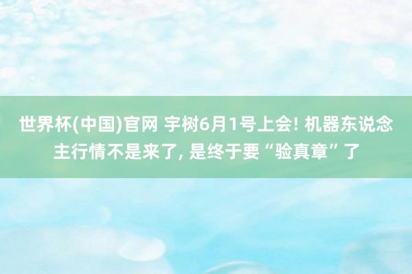 世界杯(中国)官网 宇树6月1号上会! 机器东说念主行情不是来了， 是终于要“验真章”了