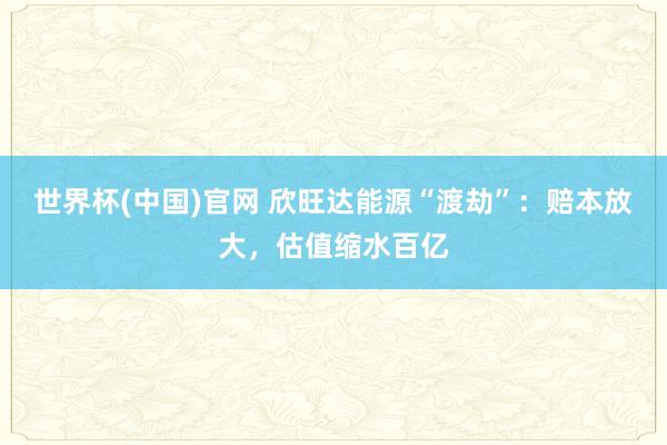 世界杯(中国)官网 欣旺达能源“渡劫”：赔本放大，估值缩水百亿