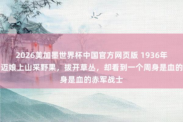 2026美加墨世界杯中国官方网页版 1936年，一位老迈娘上山采野果，拔开草丛，却看到一个周身是血的赤军战士