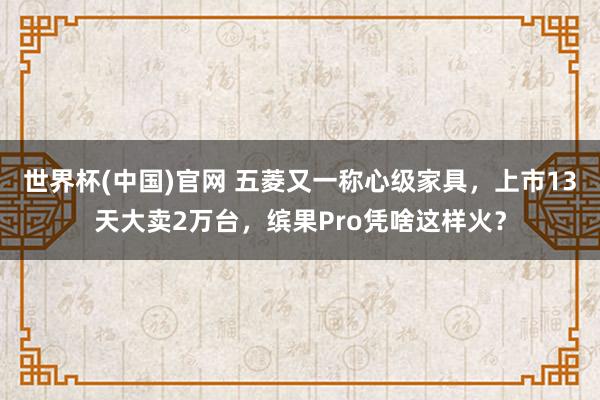 世界杯(中国)官网 五菱又一称心级家具，上市13天大卖2万台，缤果Pro凭啥这样火？