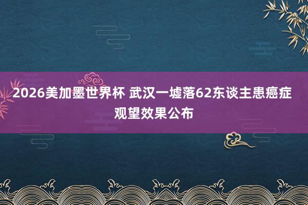 2026美加墨世界杯 武汉一墟落62东谈主患癌症 观望效果公布