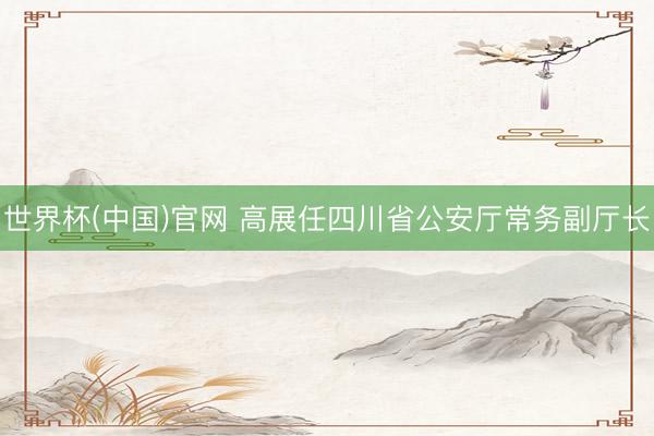 世界杯(中国)官网 高展任四川省公安厅常务副厅长