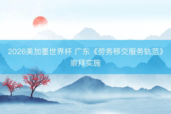 2026美加墨世界杯 广东《劳务移交服务轨范》崇拜实施