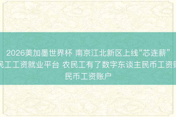 2026美加墨世界杯 南京江北新区上线“芯连薪”农民工工资就业平台 农民工有了数字东谈主民币工资账户