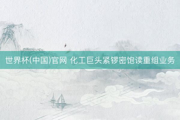 世界杯(中国)官网 化工巨头紧锣密饱读重组业务