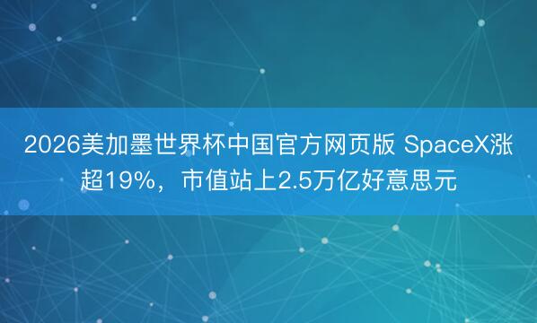 2026美加墨世界杯中国官方网页版 SpaceX涨超19%，市值站上2.5万亿好意思元