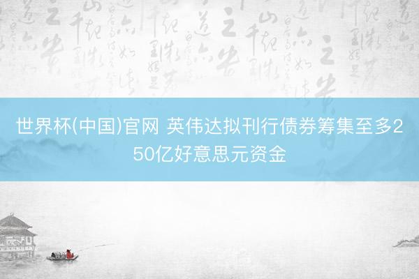 世界杯(中国)官网 英伟达拟刊行债券筹集至多250亿好意思元资金