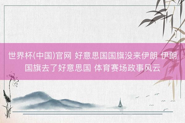 世界杯(中国)官网 好意思国国旗没来伊朗 伊朗国旗去了好意思国 体育赛场政事风云
