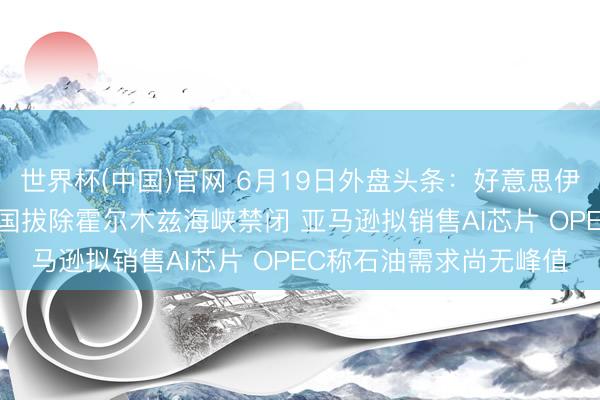 世界杯(中国)官网 6月19日外盘头条：好意思伊60天谈判启动 好意思国拔除霍尔木兹海峡禁闭 亚马逊拟销售AI芯片 OPEC称石油需求尚无峰值