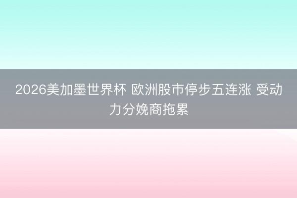 2026美加墨世界杯 欧洲股市停步五连涨 受动力分娩商拖累
