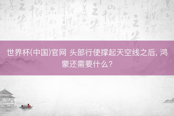 世界杯(中国)官网 头部行使撑起天空线之后, 鸿蒙还需要什么?